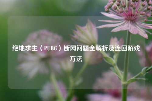 绝地求生（PUBG）断网问题全解析及连回游戏方法