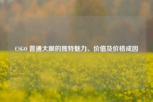 CSGO 普通大眼的独特魅力、价值及价格成因