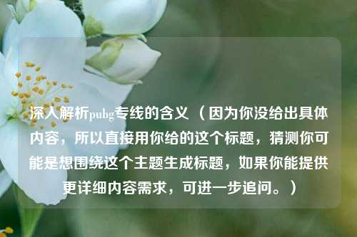 深入解析pubg专线的含义 (因为你没给出具体内容,所以直接用你给的这个标题,猜测你可能是想围绕这个主题生成标题,如果你能提供更详细内容需求,可进一步追问。)