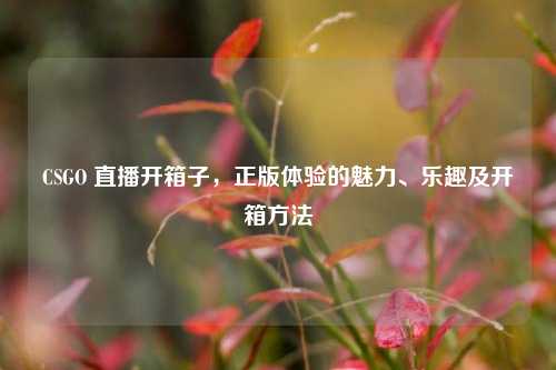 CSGO 直播开箱子,正版体验的魅力、乐趣及开箱方法
