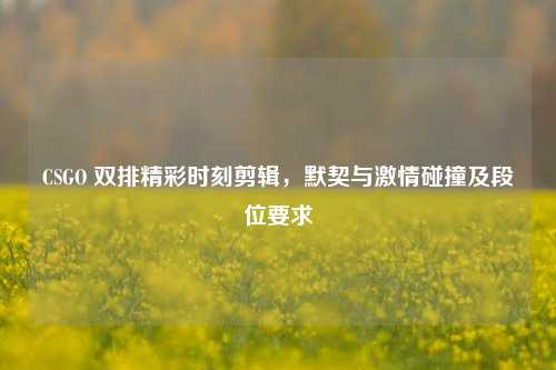 CSGO 双排精彩时刻剪辑,默契与激情碰撞及段位要求