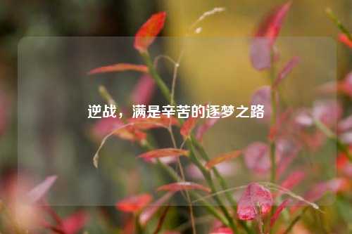 逆战，满是辛苦的逐梦之路