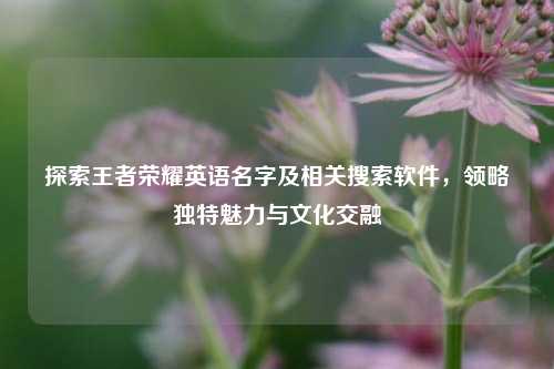 探索王者荣耀英语名字及相关搜索软件,领略独特魅力与文化交融