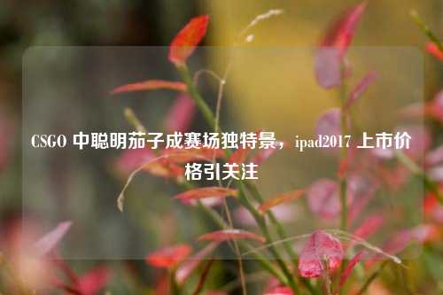 CSGO 中聪明茄子成赛场独特景，ipad2017 上市价格引关注