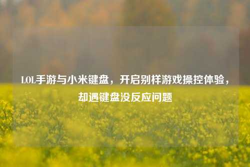 LOL手游与小米键盘,开启别样游戏操控体验,却遇键盘没反应问题