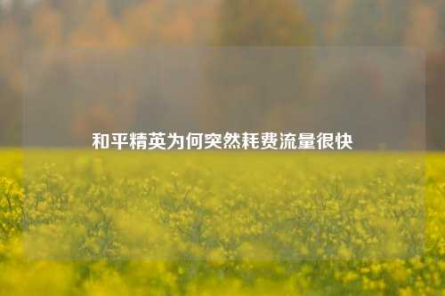 和平精英为何突然耗费流量很快