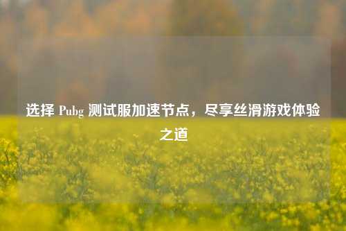 选择 Pubg 测试服加速节点，尽享丝滑游戏体验之道