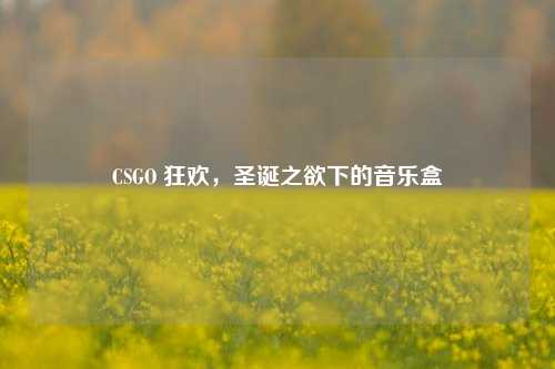 CSGO 狂欢，圣诞之欲下的音乐盒