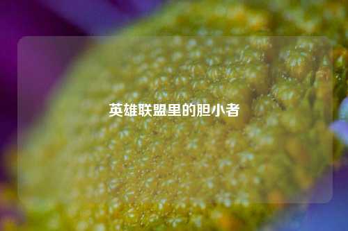 英雄联盟里的胆小者