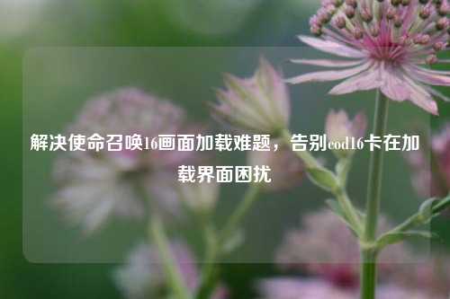 解决使命召唤16画面加载难题,告别cod16卡在加载界面困扰