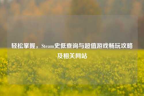 轻松掌握，Steam史低查询与超值游戏畅玩攻略及相关网站