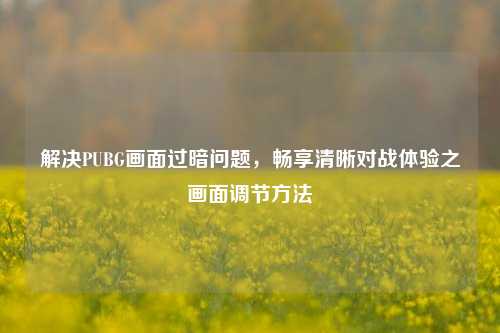 解决PUBG画面过暗问题，畅享清晰对战体验之画面调节方法