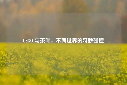 CSGO 与茶叶,不同世界的奇妙碰撞