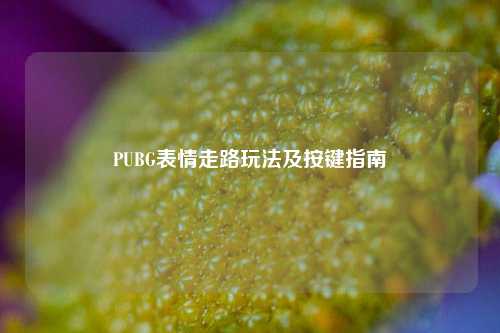 PUBG表情走路玩法及按键指南