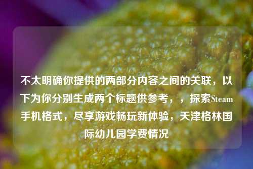 不太明确你提供的两部分内容之间的关联，以下为你分别生成两个标题供参考，，探索Steam手机格式，尽享游戏畅玩新体验，天津格林国际幼儿园学费情况