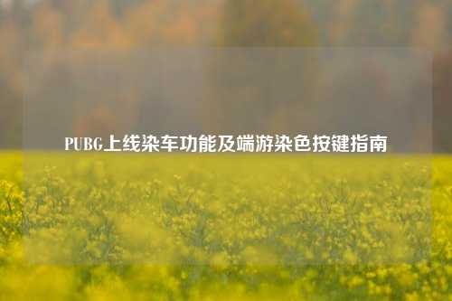 PUBG上线染车功能及端游染色按键指南