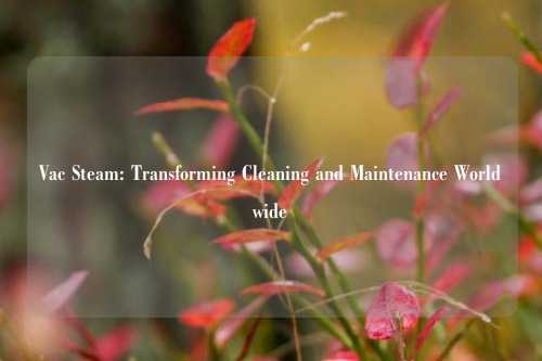 Vac Steam: Transforming Cleaning and Maintenance Worldwide