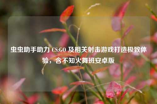 虫虫助手助力 CS:GO 及相关射击游戏打造极致体验，含不知火舞班安卓版