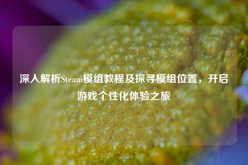 深入解析Steam模组教程及探寻模组位置，开启游戏个性化体验之旅