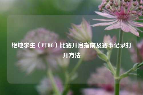 绝地求生（PUBG）比赛开启指南及赛事记录打开方法