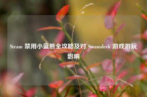 Steam 禁用小蓝熊全攻略及对 Steamdeck 游戏游玩影响