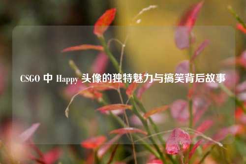 CSGO 中 Happy 头像的独特魅力与搞笑背后故事