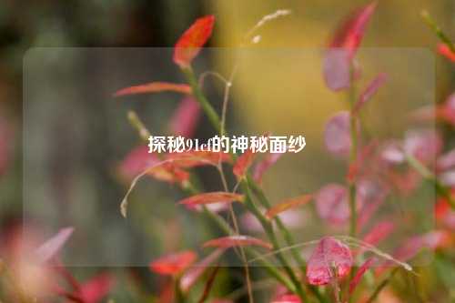 探秘91cf的神秘面纱