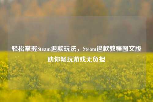 轻松掌握Steam退款玩法,Steam退款教程图文版助你畅玩游戏无负担