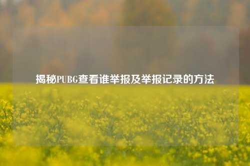 揭秘PUBG查看谁举报及举报记录的方法