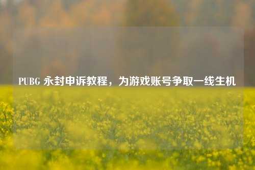 PUBG 永封申诉教程，为游戏账号争取一线生机