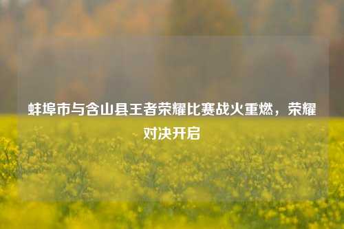 蚌埠市与含山县王者荣耀比赛战火重燃，荣耀对决开启