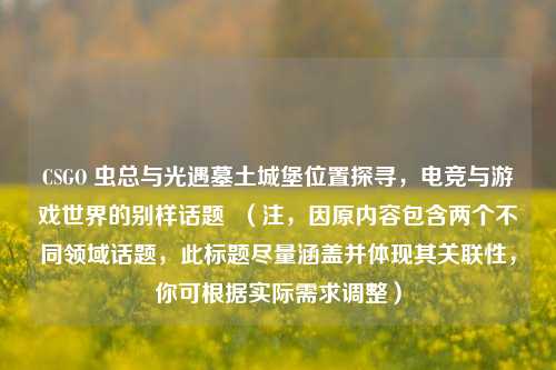 CSGO 虫总与光遇墓土城堡位置探寻，电竞与游戏世界的别样话题  （注，因原内容包含两个不同领域话题，此标题尽量涵盖并体现其关联性，你可根据实际需求调整）