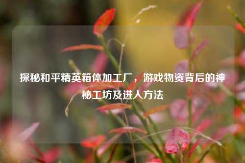 探秘和平精英箱体加工厂,游戏物资背后的神秘工坊及进入方法
