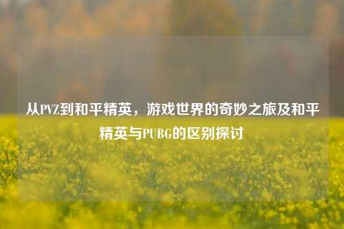 从PVZ到和平精英，游戏世界的奇妙之旅及和平精英与PUBG的区别探讨