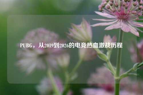 PUBG,从2019到2026的电竞热血激战历程