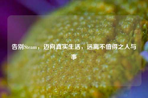 告别Steam，迈向真实生活，远离不值得之人与事