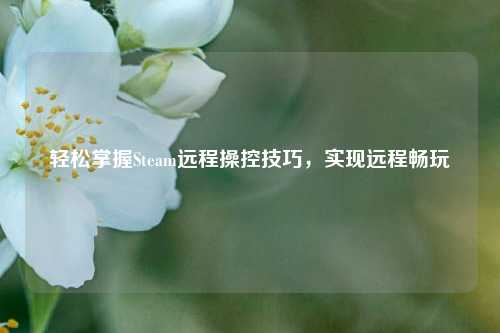 轻松掌握Steam远程操控技巧，实现远程畅玩