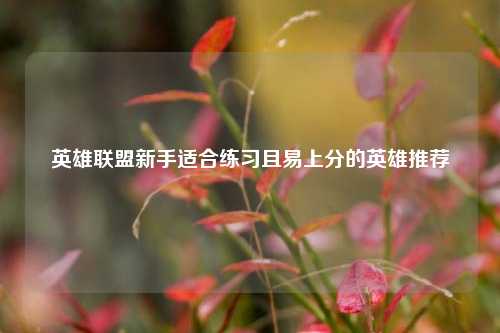 英雄联盟新手适合练习且易上分的英雄推荐