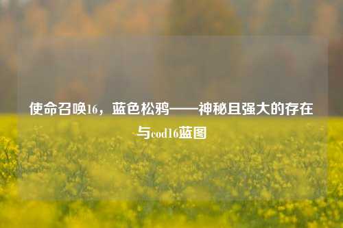 使命召唤16，蓝色松鸦——神秘且强大的存在与cod16蓝图