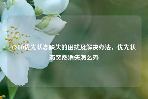 CSGO优先状态缺失的困扰及解决办法，优先状态突然消失怎么办