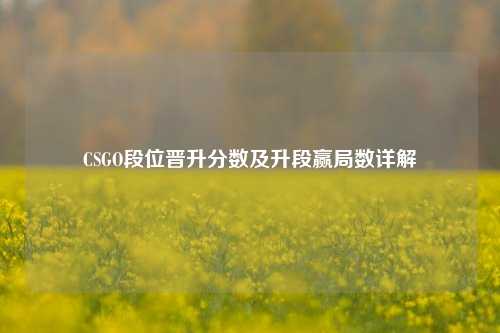 CSGO段位晋升分数及升段赢局数详解