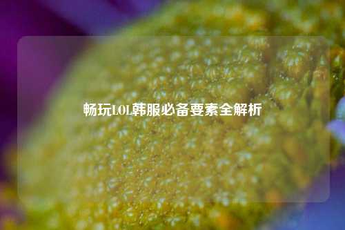 畅玩LOL韩服必备要素全解析