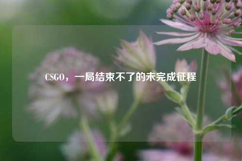 CSGO,一局结束不了的未完成征程