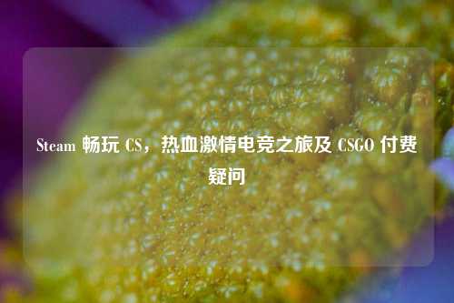 Steam 畅玩 CS，热血激情电竞之旅及 CSGO 付费疑问