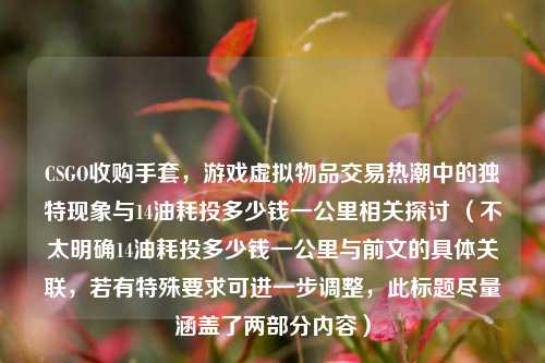 CSGO收购手套，游戏虚拟物品交易热潮中的独特现象与14油耗投多少钱一公里相关探讨 （不太明确14油耗投多少钱一公里与前文的具体关联，若有特殊要求可进一步调整，此标题尽量涵盖了两部分内容）
