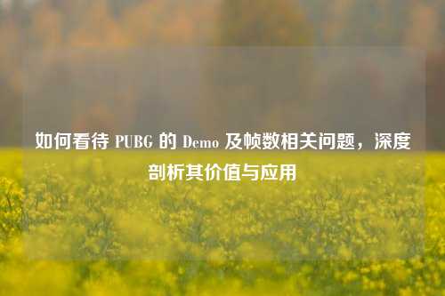 如何看待 PUBG 的 Demo 及帧数相关问题，深度剖析其价值与应用