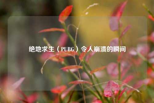 绝地求生（PUBG）令人崩溃的瞬间