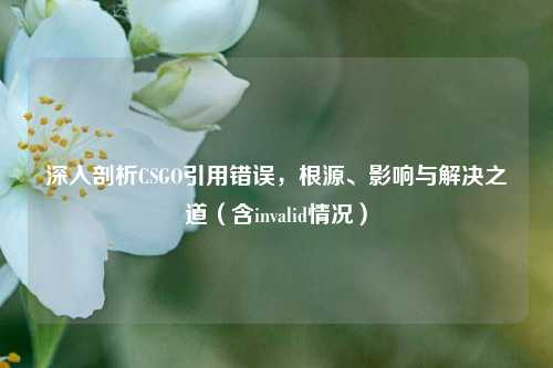深入剖析CSGO引用错误,根源、影响与解决之道(含invalid情况)