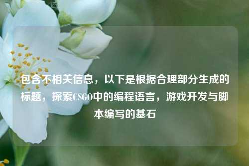 包含不相关信息,以下是根据合理部分生成的标题,探索CSGO中的编程语言,游戏开发与脚本编写的基石
