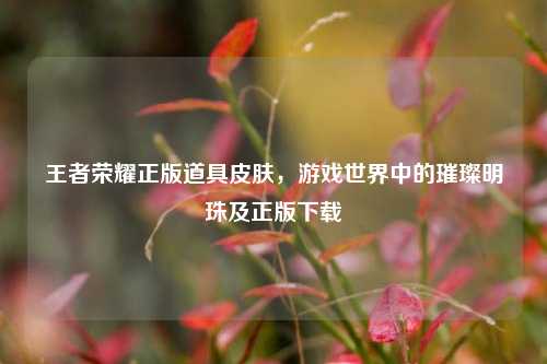 王者荣耀正版道具皮肤，游戏世界中的璀璨明珠及正版下载